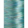 1608 - Vyšívací nit Madeira Polyneon No.40 (dtex 135x2) multicolor - 100% PES - 5.000m