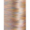1605 - Vyšívací nit Madeira Polyneon No.40 (dtex 135x2) multicolor - 100% PES - 5.000m