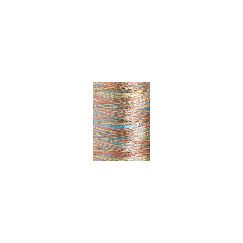 1604 - Vyšívací nit Madeira Polyneon No.40 (dtex 135x2) multicolor - 100% PES - 5.000m