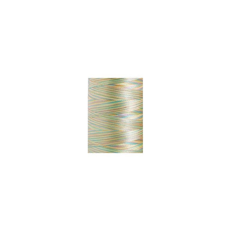 1603 - Vyšívací nit Madeira Polyneon No.40 (dtex 135x2) multicolor - 100% PES - 5.000m