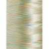 1603 - Vyšívací nit Madeira Polyneon No.40 (dtex 135x2) multicolor - 100% PES - 5.000m
