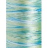 1602 - Vyšívací nit Madeira Polyneon No.40 (dtex 135x2) multicolor - 100% PES - 5.000m
