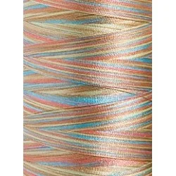 1604 - Vyšívací nit Madeira Polyneon No.40 (dtex 135x2) multicolor - 100% PES - 5.000m
