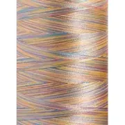 1605 - Vyšívací nit Madeira Polyneon No.40 (dtex 135x2) multicolor - 100% PES - 5.000m