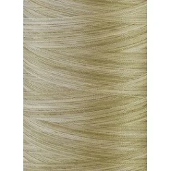 1511 - Vyšívací nit Madeira Polyneon No.40 (dtex 135x2) multicolor - 100% PES - 5.000m